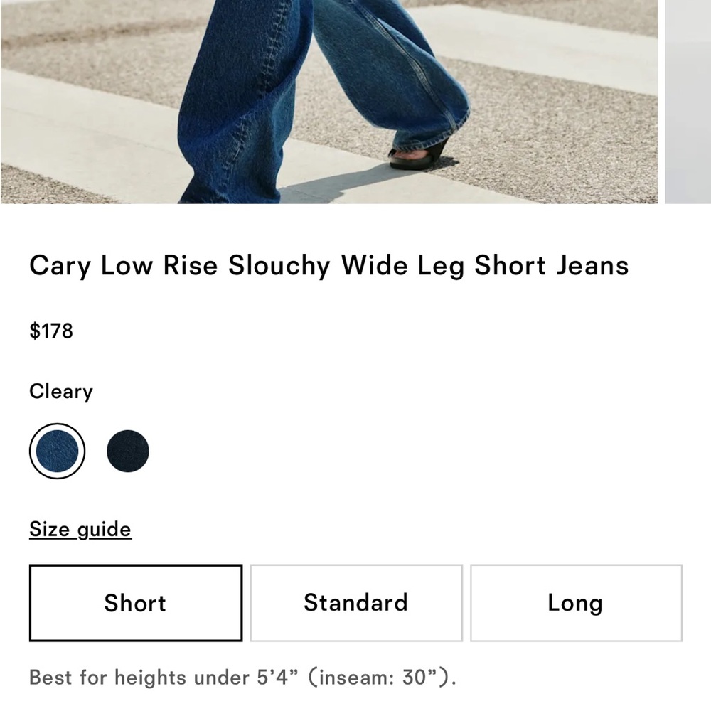 REFORMATION Cary Low Rise Slouchy Wide Leg Short Jeans - Cleary - Picture 4 of 9